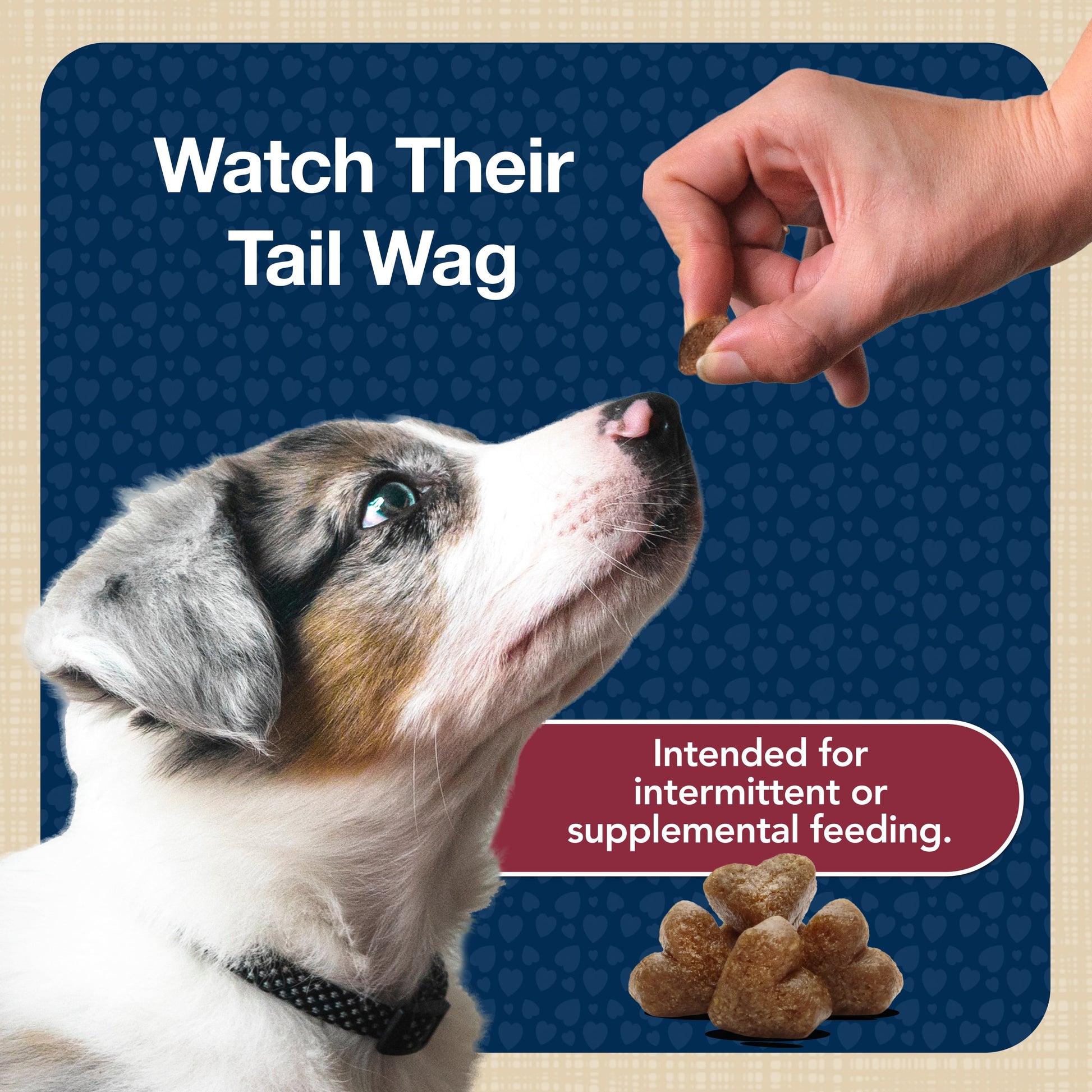 Bits Soft Dog Treats for Training, Enhanced with DHA, 4-Oz. Bag