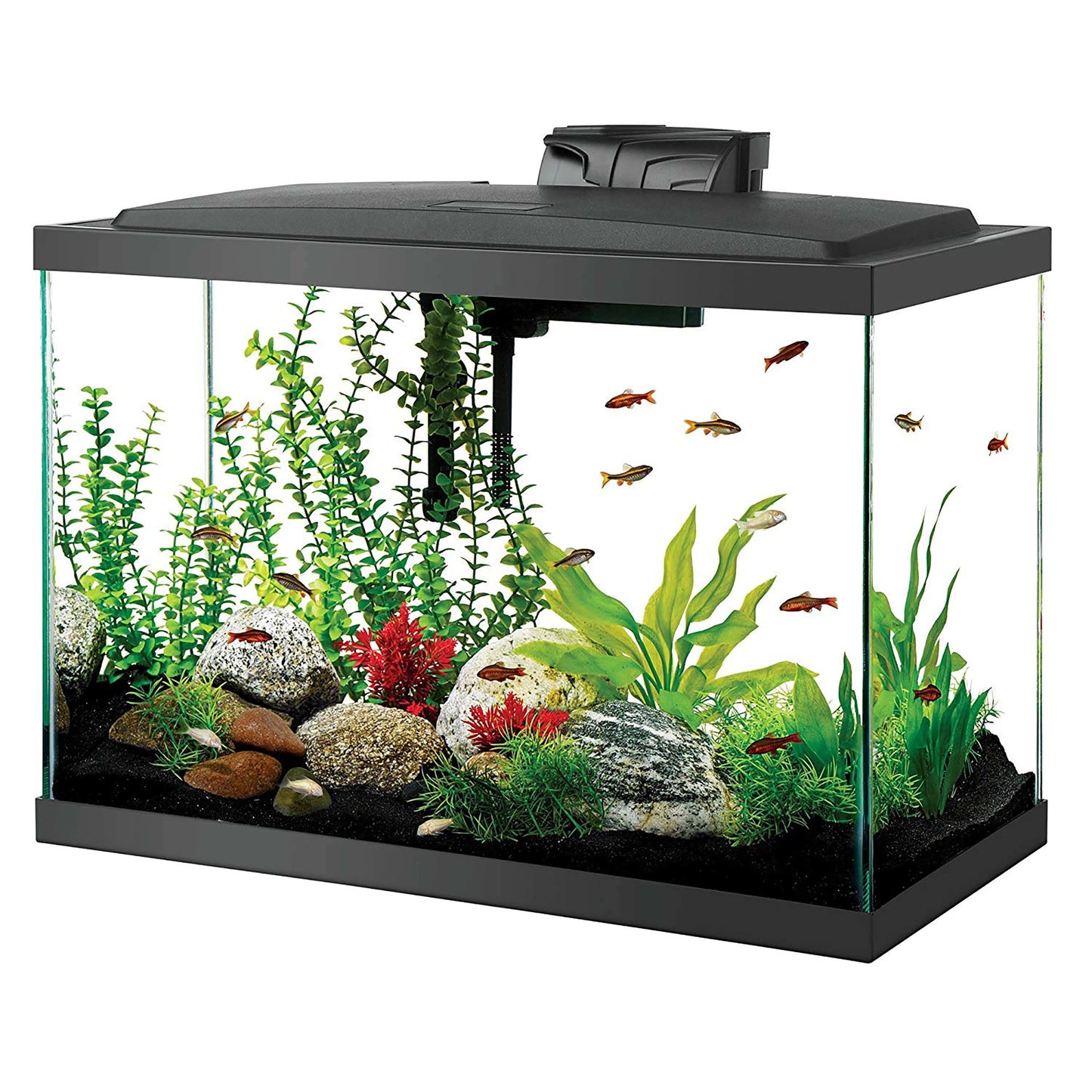 Aquarium Glass 20 Gallon Starter Kit with LED Lighting 20 High