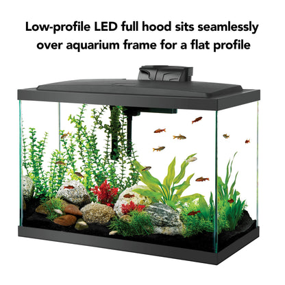 Aquarium Glass 20 Gallon Starter Kit with LED Lighting 20 High