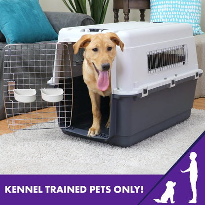 Plastic Dog IATA Airline Approved Kennel Carrier, Large